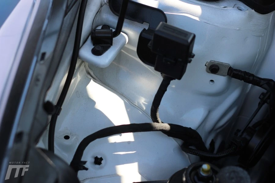 IMG_7148.JPG?type=w1