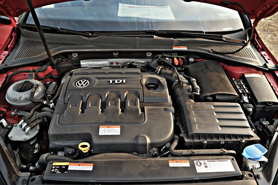 DSC05310_copy.jpg?type=w966