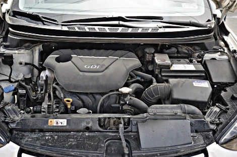 DSC00422_copy.jpg?type=w1