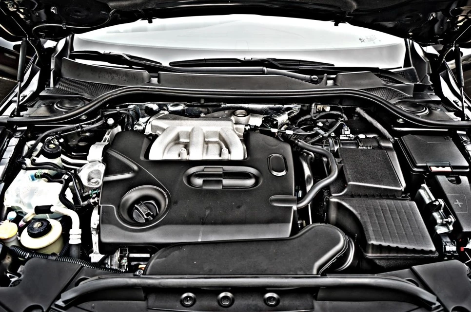 DSC05735_copy.jpg?type=w966