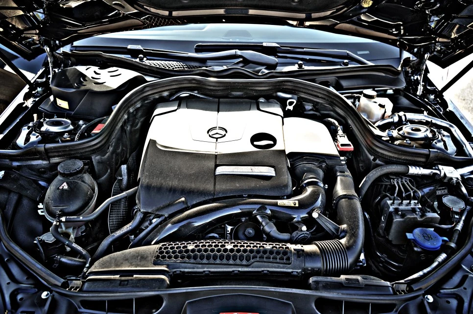 DSC05991_copy.jpg?type=w966