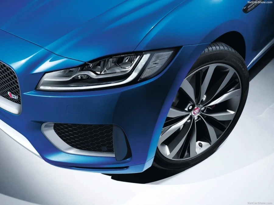 2017_%C0%E7%B1%D4%BE%EE_F%C6%E4%C0%CC%BD%BA16.jpg?type=w1