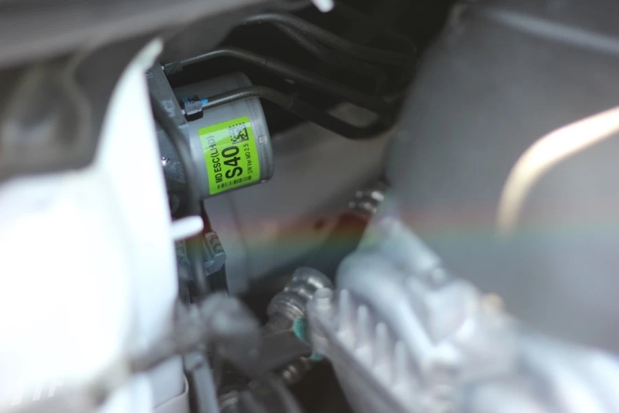 IMG_7147.JPG?type=w1