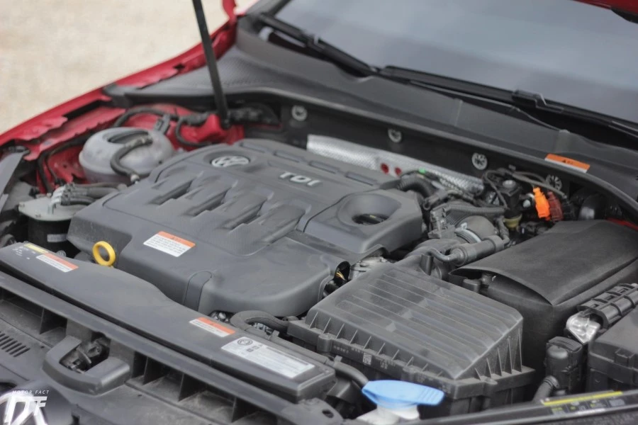 IMG_3260.JPG?type=w1