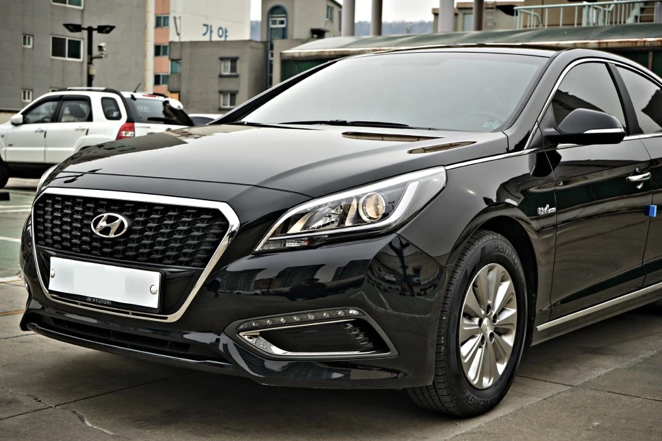 DSC03172_copy.jpg?type=w966