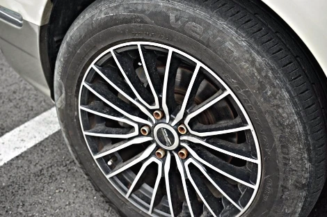 DSC00564_copy.jpg?type=w1