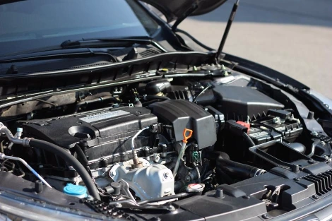 IMG_8354.JPG?type=w1