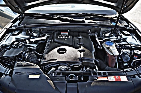 DSC05871_copy.jpg?type=w1