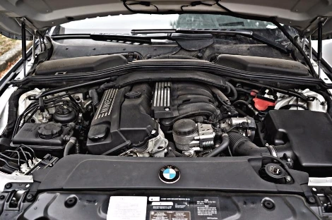 DSC05452_copy.jpg?type=w1