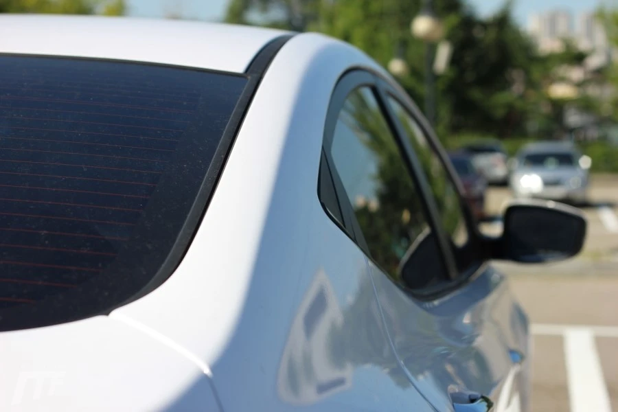 IMG_7350.JPG?type=w1