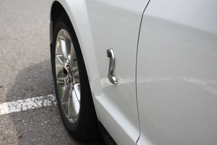 IMG_4569.JPG?type=w1