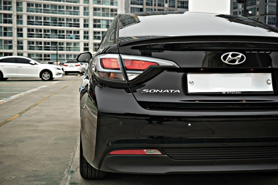 DSC03176_copy.jpg?type=w966