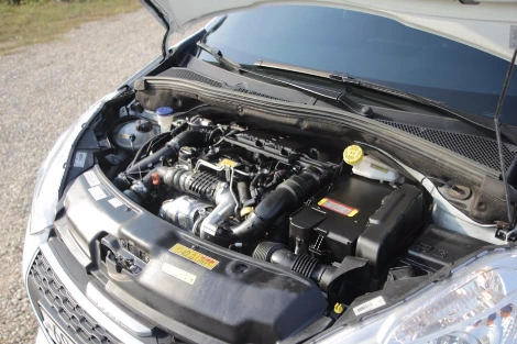 IMG_1880.JPG?type=w1