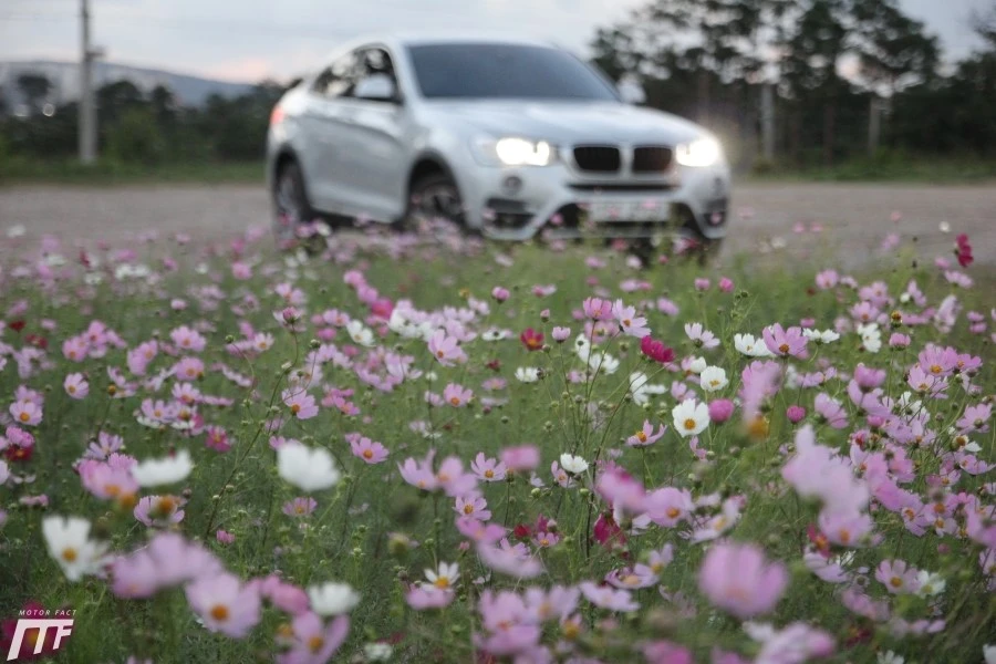 IMG_0415.JPG?type=w1