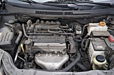 DSC06170_copy.jpg?type=w1