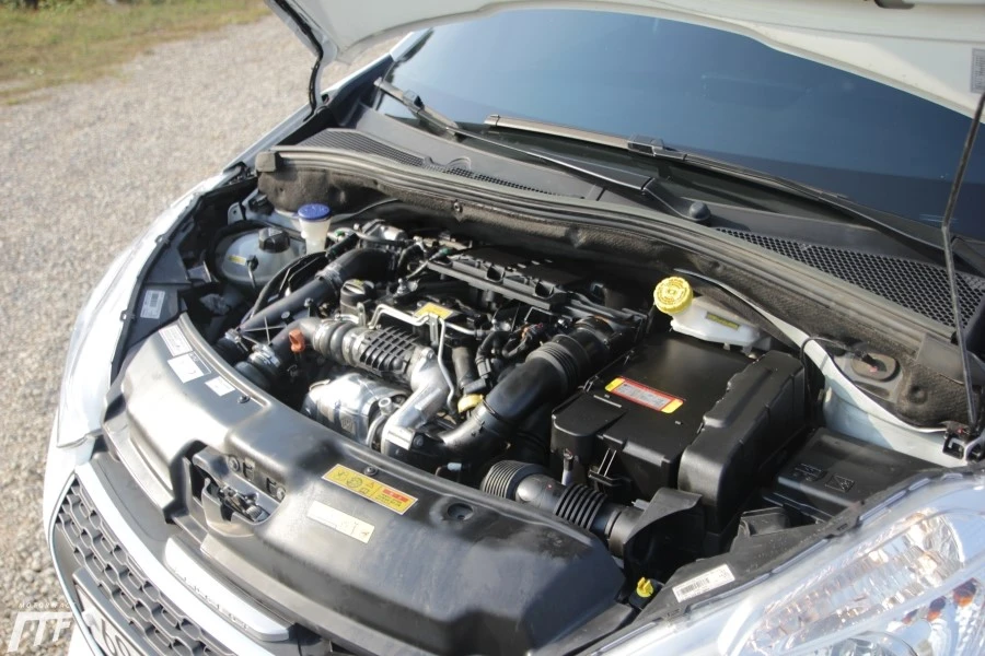 IMG_1880.JPG?type=w1