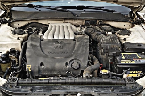 DSC06117_copy.jpg?type=w1