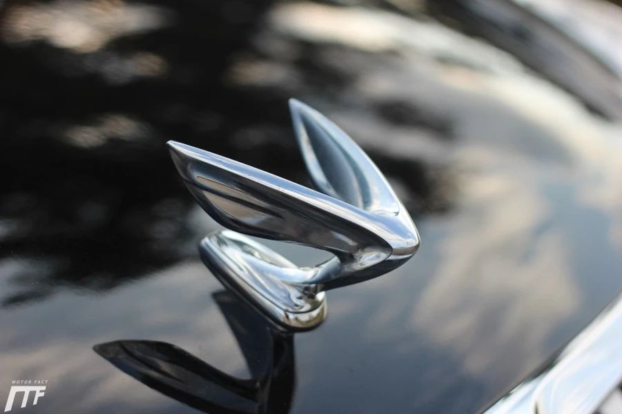 IMG_4527.JPG?type=w1