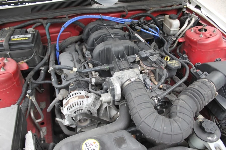 IMG_4567.JPG?type=w1