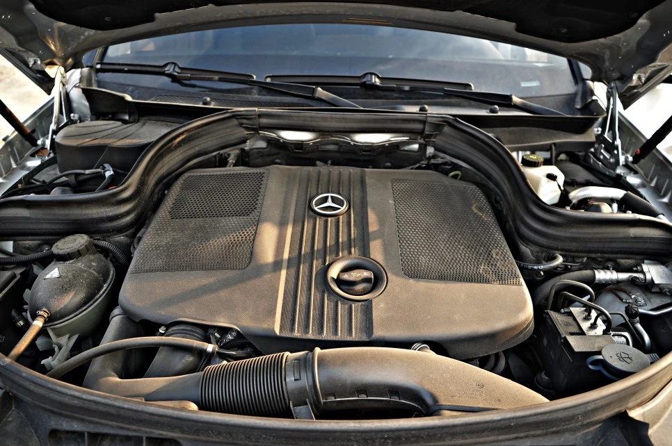 DSC05331_copy.jpg?type=w966