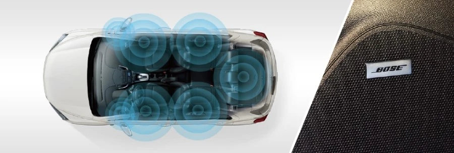 %C6%AE%B7%A2%BD%BA%B5%F0%C1%A914.jpg?type=w1