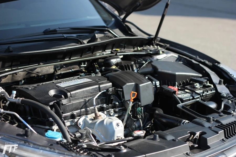 IMG_8354.JPG?type=w1