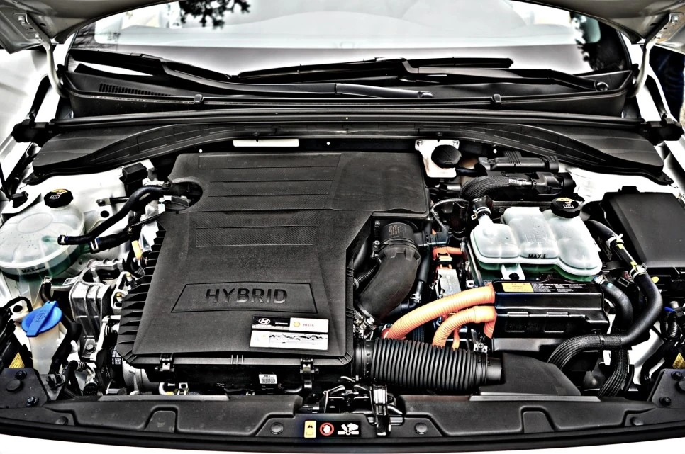 DSC05756_copy.jpg?type=w966