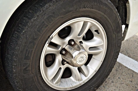 DSC00466_copy.jpg?type=w1