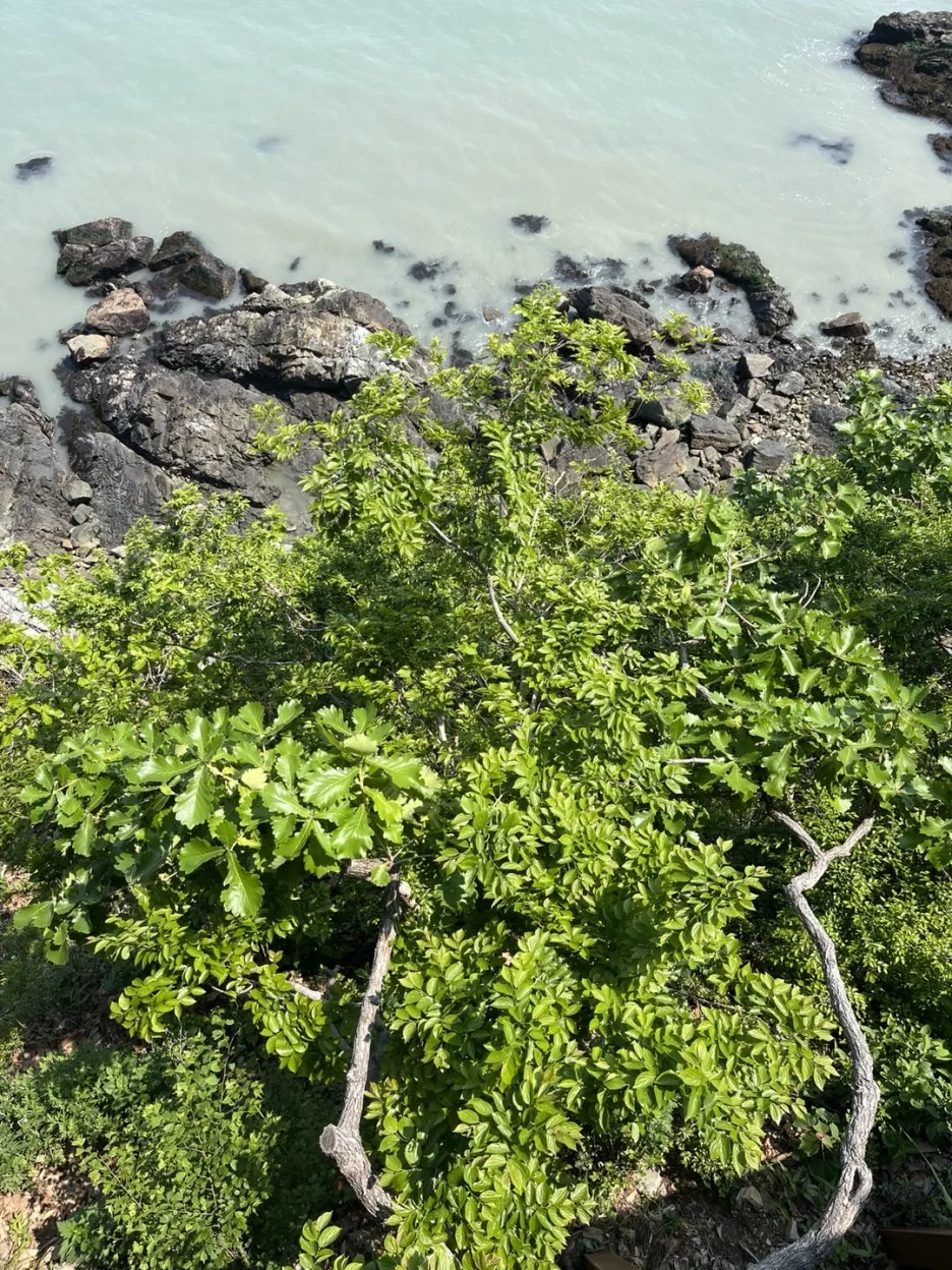 KakaoTalk_20250512_203938840_07.jpg?type=w1