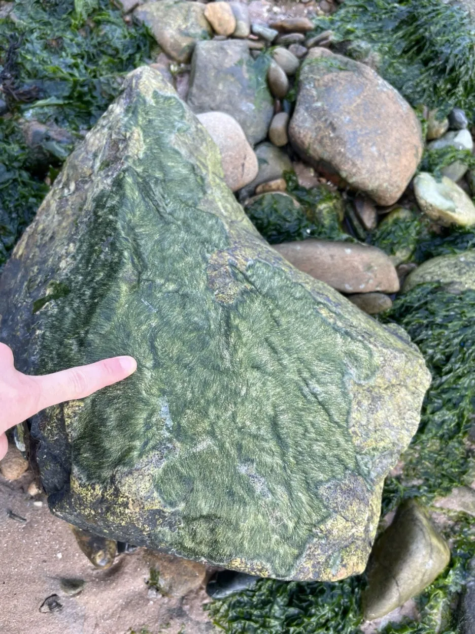 KakaoTalk_20250513_192331592_24.jpg?type=w1