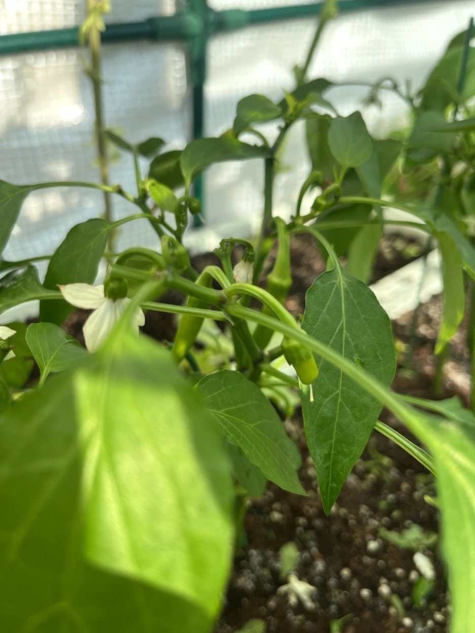 KakaoTalk_20221225_132446638.jpg?type=w1