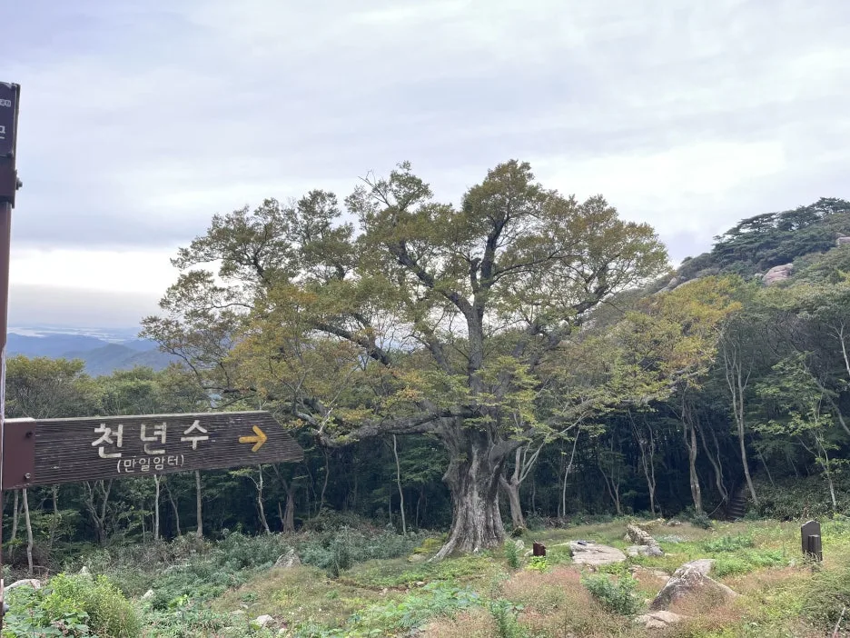 KakaoTalk_20251102_192635874_15.jpg?type=w1