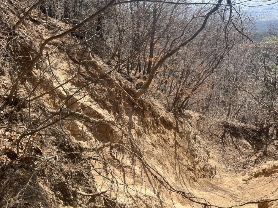 TfH_pXSUyaLSVOpA2G2IPyu6_Fw