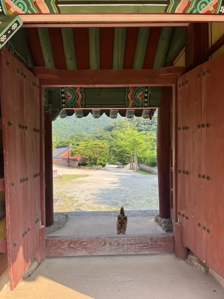 KakaoTalk_20250529_192531920_02.jpg?type=w1