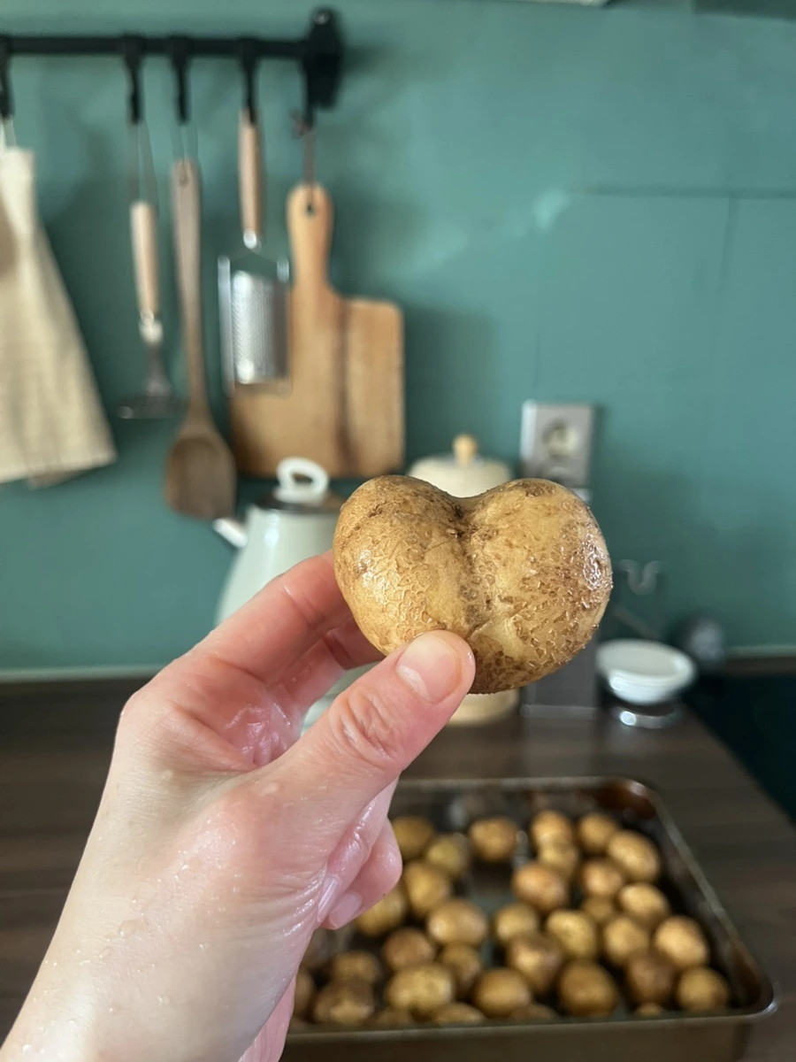 IMG%EF%BC%BF6096.jpg?type=w1