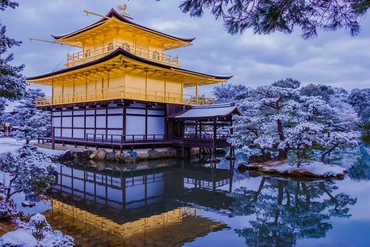 fd_kin_ic.jpg?type=w1