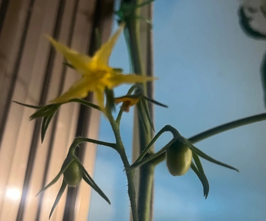 SE-4d19cbf2-0a7e-47aa-8e3e-29d28aa3ba83.jpg?type=w1