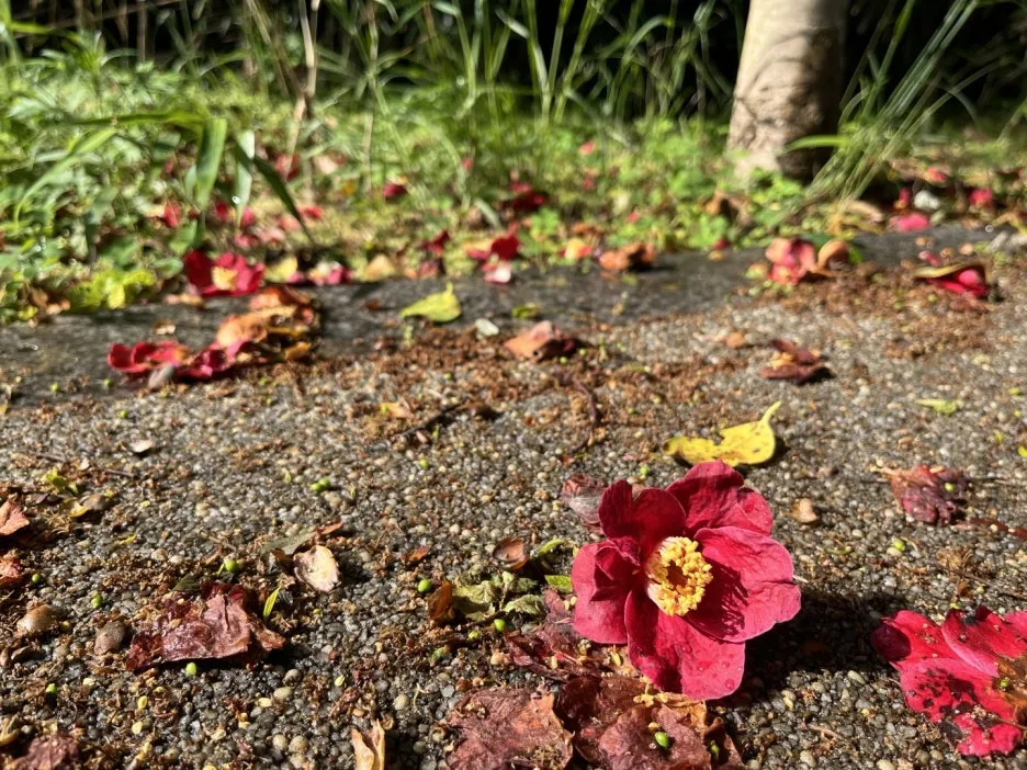 KakaoTalk_20250506_201531222_24.jpg?type=w1