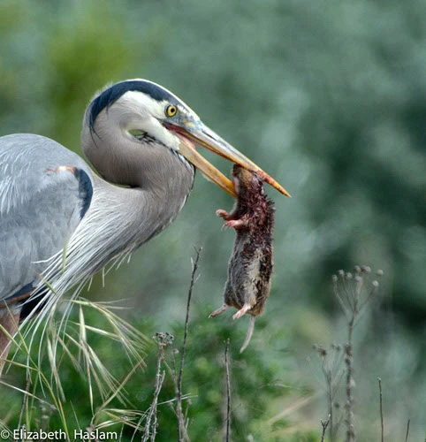 ZSXSSGAVH24RU3B6Z5FTIKVD7E.jpg?type=w1