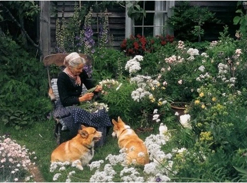 20180918832874.jpg?type=w1