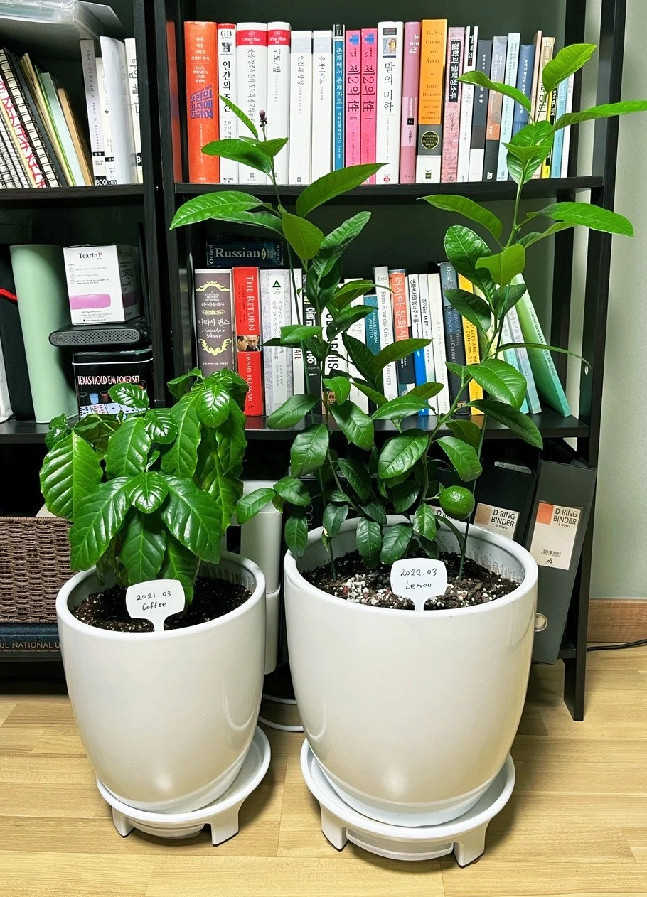 SE-9cd4ebed-78c4-4824-bb1e-ba54a85e561c.jpg?type=w1