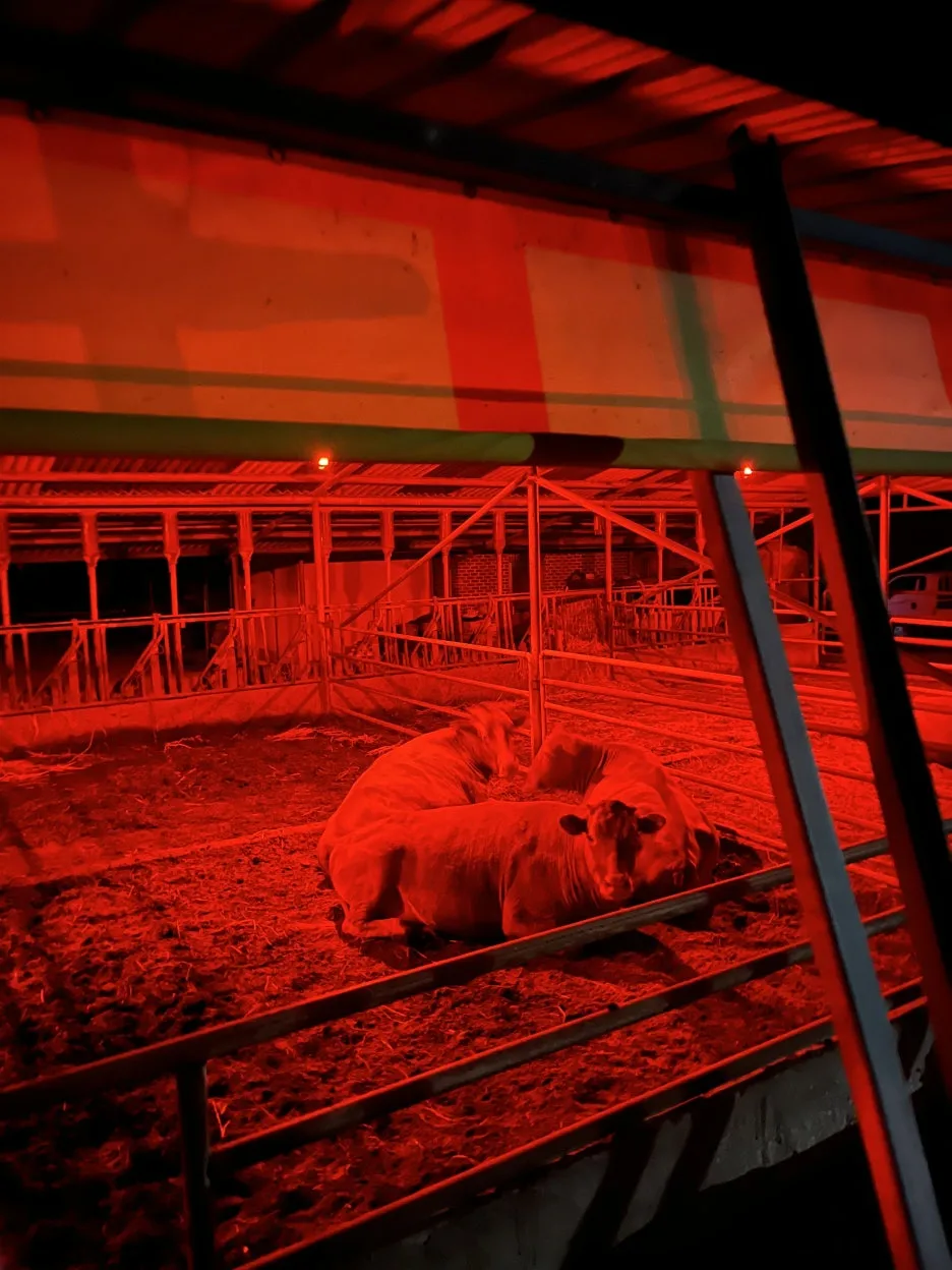 KakaoTalk_20250924_204003109_14.jpg?type=w1