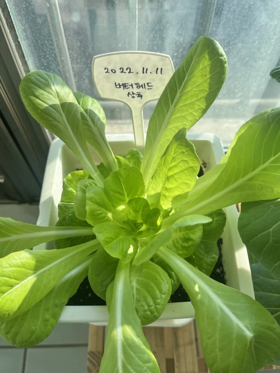 KakaoTalk_20221211_190407642.jpg?type=w1