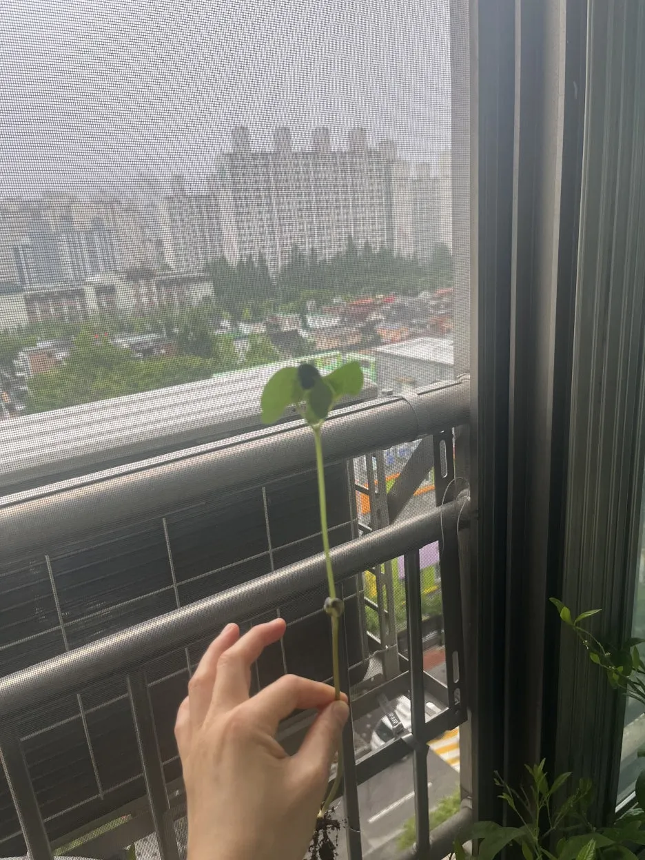 KakaoTalk_20250628_095459608_03.jpg?type=w1