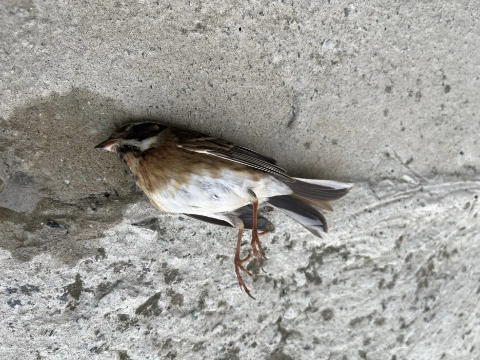 KakaoTalk_20250507_201512867_04.jpg?type=w1