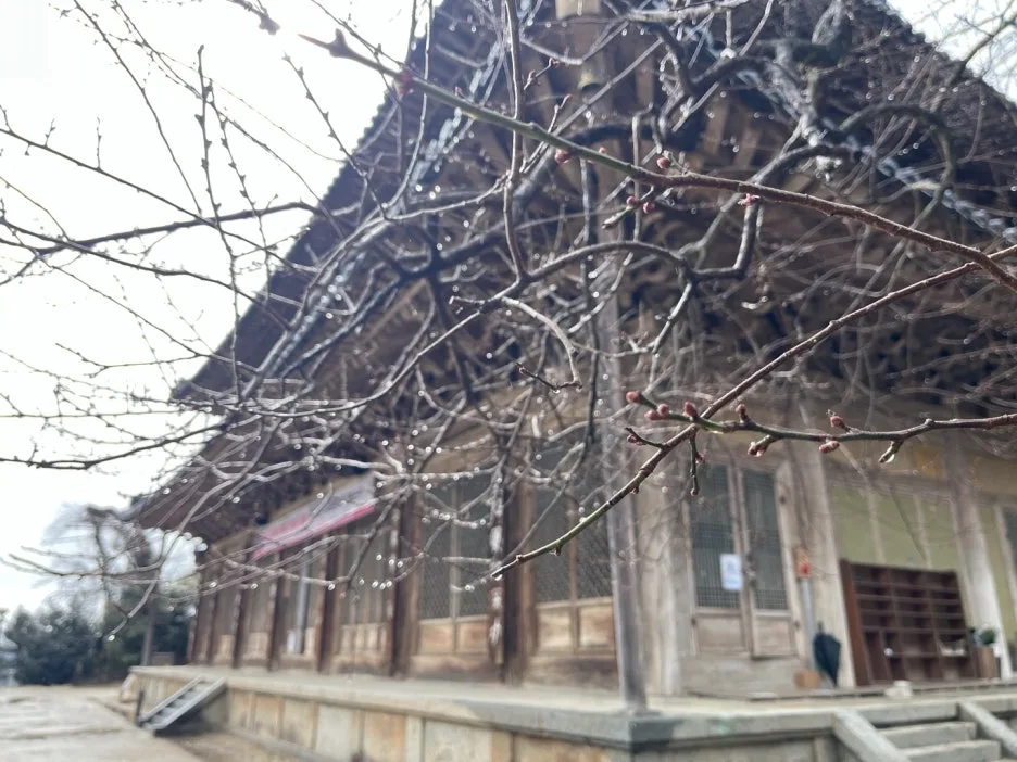 KakaoTalk_20250309_103937374.jpg?type=w1