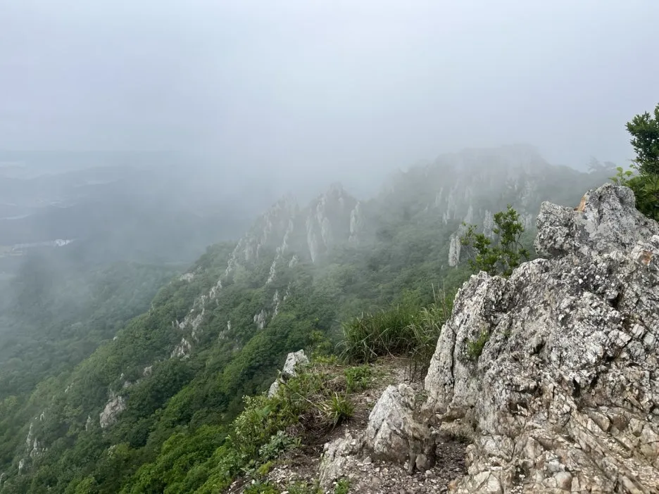 KakaoTalk_20250522_235008417_12.jpg?type=w1