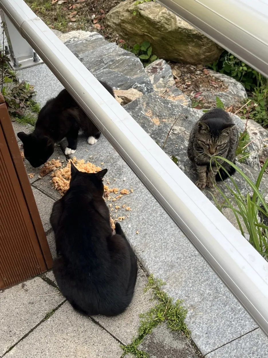 KakaoTalk_20250517_204210669_08.jpg?type=w1