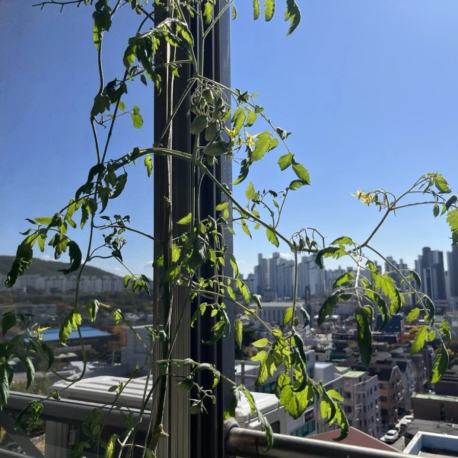 KakaoTalk_20231021_130410937.jpg?type=w1