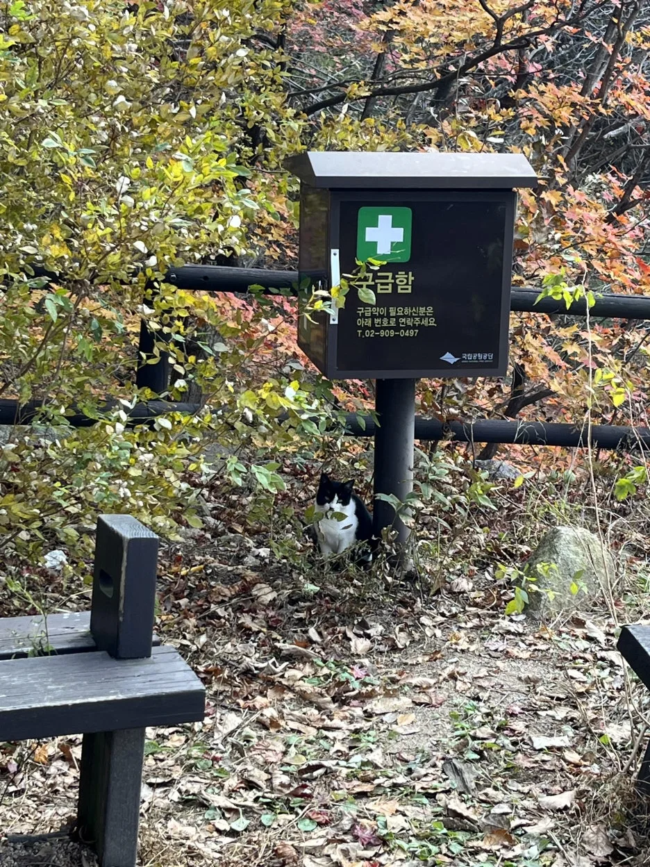 KakaoTalk_20251106_094233518_08.jpg?type=w1